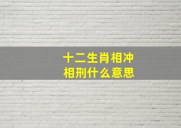 十二生肖相冲 相刑什么意思